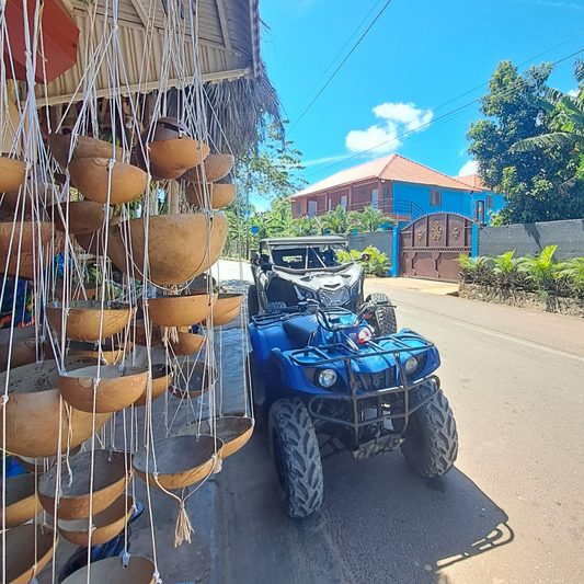 Expérience de visite en quad plages Frontón-Rincón - 1 nuit d'hôtel et repas inclus