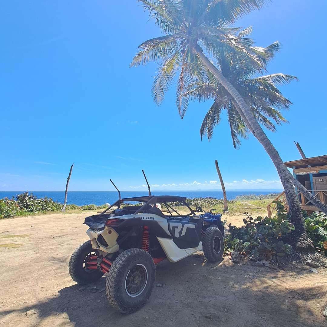 Tour VIP en buggy des plages de Frontón-Rincón avec déjeuner inclus