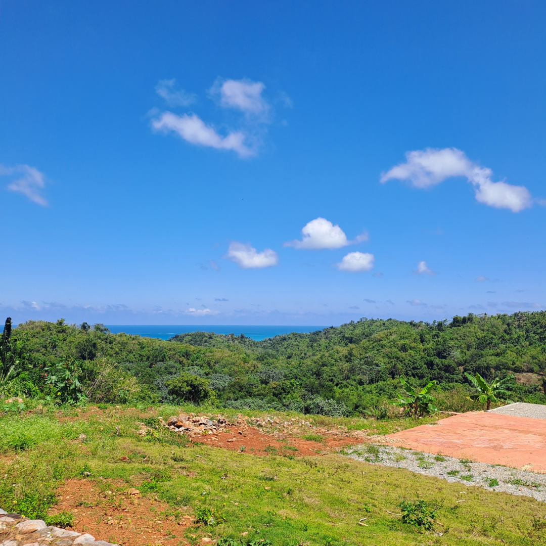 Jungle to Coast Hiking Tour Complete Las Galeras Experience!