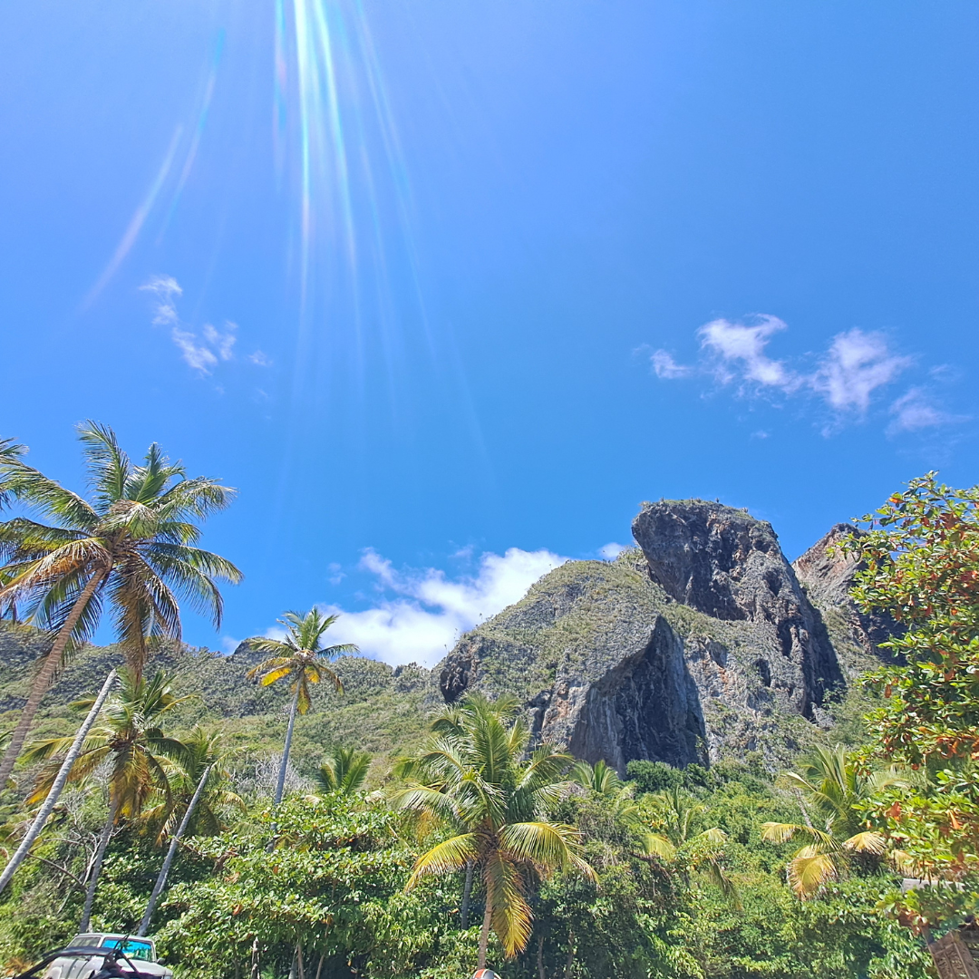 Tour de senderismo de la jungla a la costa ¡Experiencia completa en Las Galeras!