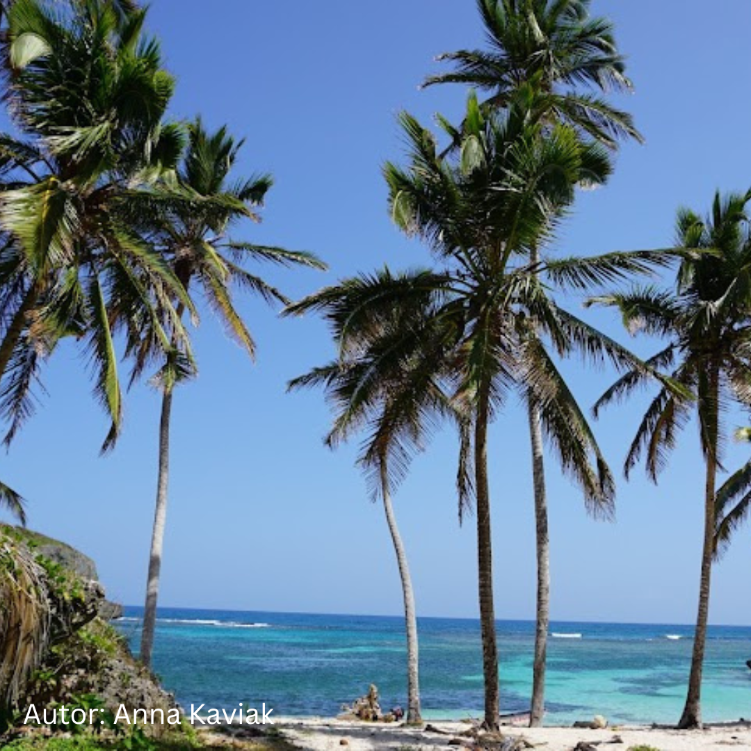 Experiencia Tour Tres Playas - 1 noche de hotel y comidas incluidas