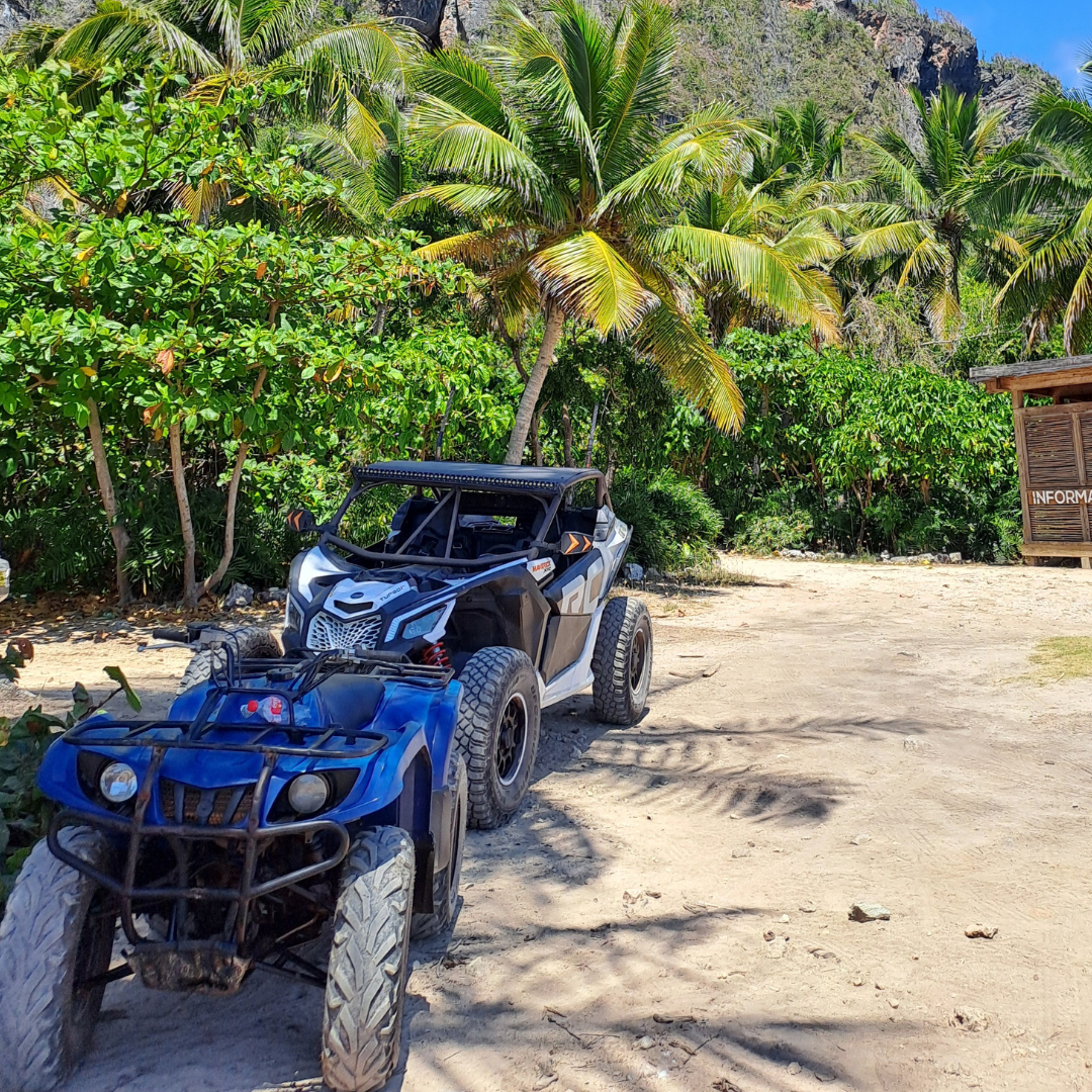 Frontón-Rincón Beaches Quad Tour with lunch included