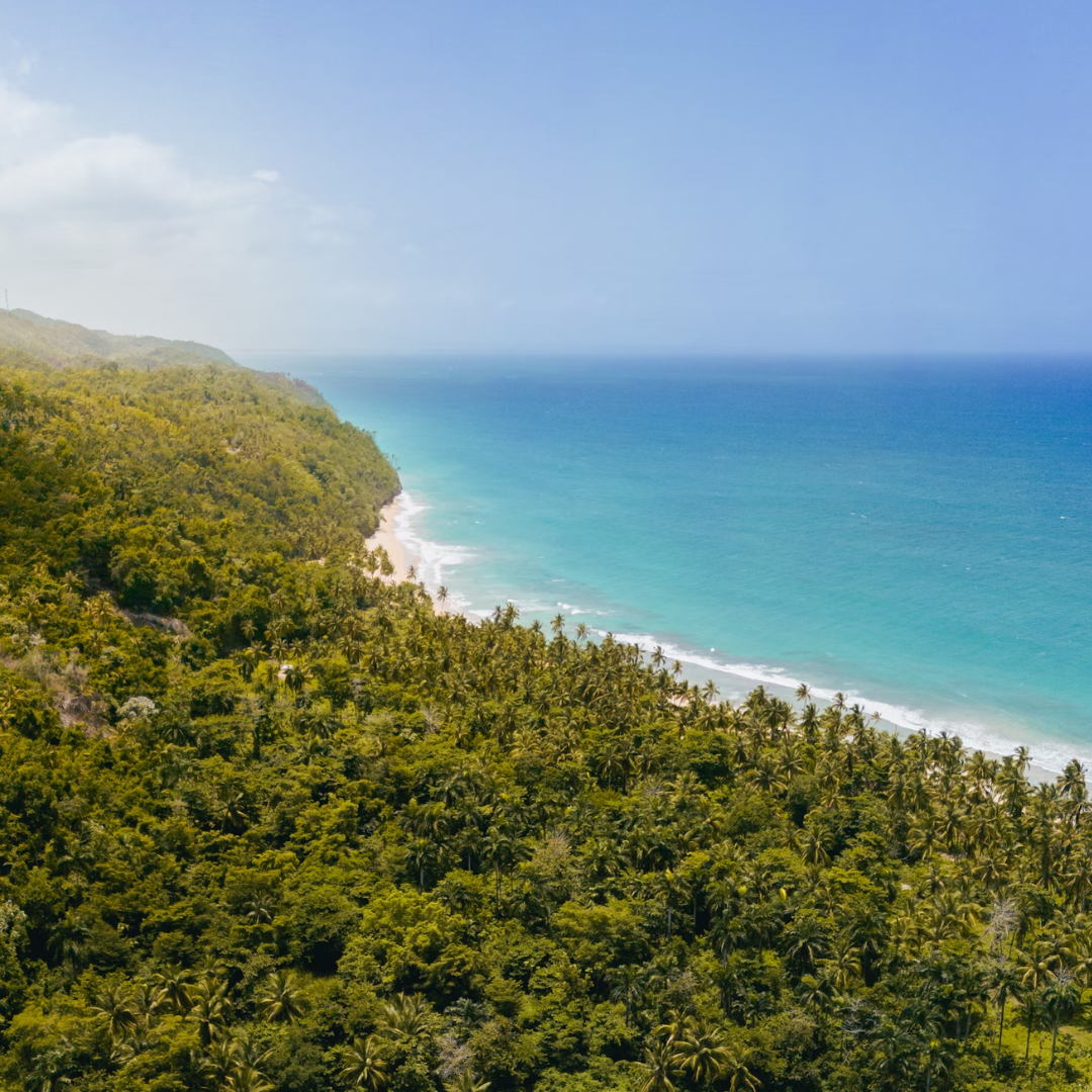 Randonnée de la jungle à la côte. Expérience complète à Las Galeras!